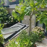 Loft With Rooftop Garden Terrace By The *