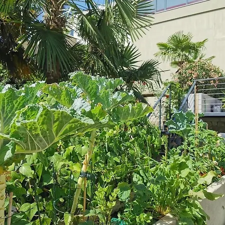 Loft With Rooftop Garden Terrace By The Casa de Férias Opatija