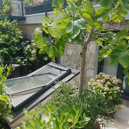 Loft With Rooftop Garden Terrace By The *