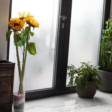Holiday home Loft With Rooftop Garden Terrace By The Opatija