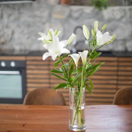 Loft With Rooftop Garden Terrace By The Opatija