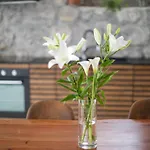 Loft With Rooftop Garden Terrace By The Opatija